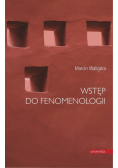 Wstęp do fenomenologii