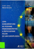 Luka konkurencyjna na poziomie przedsiębiorstwa