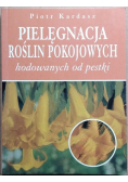 Pielęgnacja Roślin Pokojowych