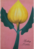 Rośliny ozdobne