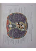 Topographische Anatomie ,Band 1 : Halfte 1-2, 1943r.