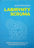 Labirynty scruma