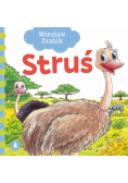 Struś