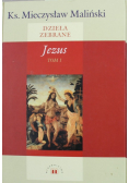 Dzieła zebrane Jezus Tom 1