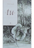 I tu i tam