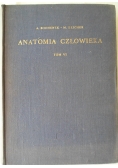 Anatomia człowieka tom VI- Układ nerwowy ośrodkowy