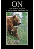 On czyli prawie wszystko o tatrzańskim niedźwiedziu