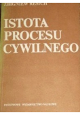 Istota procesu cywilnego