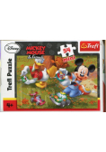 Puzzle mini 54 Miki
