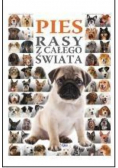 Pies Rasy z całego świata