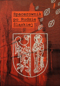 Spacerownik po rudzie śląskiej
