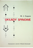 Układy spinowe