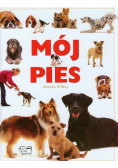 Mój pies