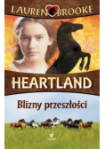 Heartland 7 Blizny przeszłości