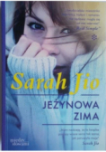 Jeżynowa zima