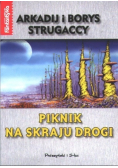 Piknik na skraju drogi