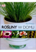 Rośliny w domu