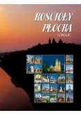 Kościoły Płocka i okolic