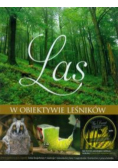 Las w obiektywie leśników
