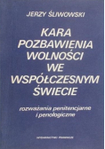 Kara pozbawienia wolności we współczesnym świecie