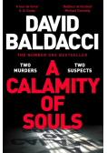 A Calamity of Souls