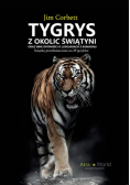 Tygrys z okolic świątyni