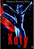 Koty