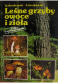 Leśne grzyby owoce i zioła