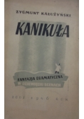 Kanikuła, 1946 r.