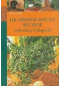 Jak uprawiać rośliny bez ziemi