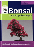 Bonsai z roślin pokojowych