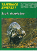 Tajemnice zwierząt ssaki drapieżne