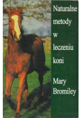 Naturalne metody w leczeniu koni