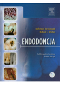 Endodoncja z płytą DVD
