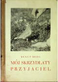 Mój skrzydlaty przyjaciel 1931 r.
