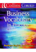 Buisness Vocabulary in Practice