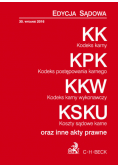 Kodeks karny Kodeks postępowania karnego Kodeks karny wykonawczy Koszty sądowe karne oraz inne akty prawne