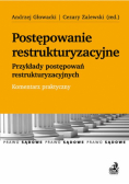 Postępowanie restrukturyzacyjne. Przykłady postępowań restrukturyzacyjnych. Komentarz praktyczny