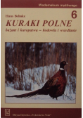 Kuraki polne 6 bażant i kuropatwa