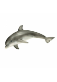 Delfin