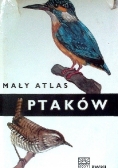 Mały atlas ptaków