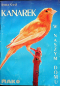 Kanarek w naszym domu