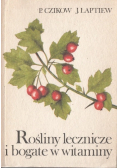 Rośliny lecznicze bogate w witaminy