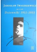 Iwaszkiewicz Dzienniki Tom 1 1911 - 1955