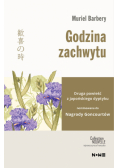 Godzina zachwytu
