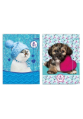 Teczka z gumką A4 Sweet Pets mix wzorów