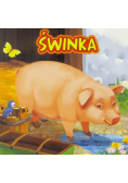Świnka