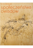 Społeczeństwo owadów