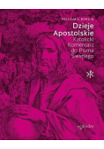 Dzieje Apostolskie Katolicki Komentarz do Pisma Świętego