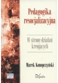 Pedagogika resocjalizacyjna